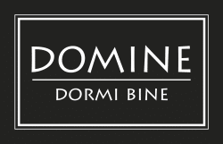 Domine logo